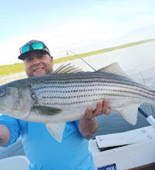 Striped bass are calling your name!